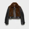 Μπουφάν από δέρμα και shearling Μπουφάν από δέρμα και shearling